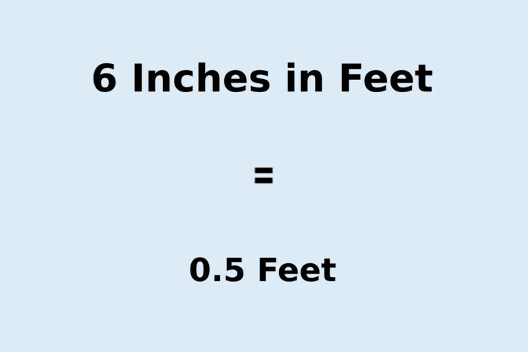 6 Inches in Feet