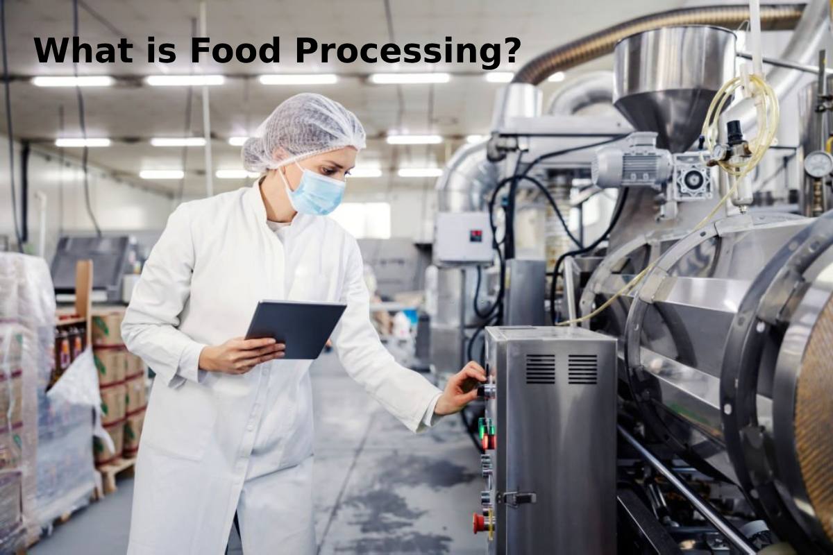 food processing definition essay