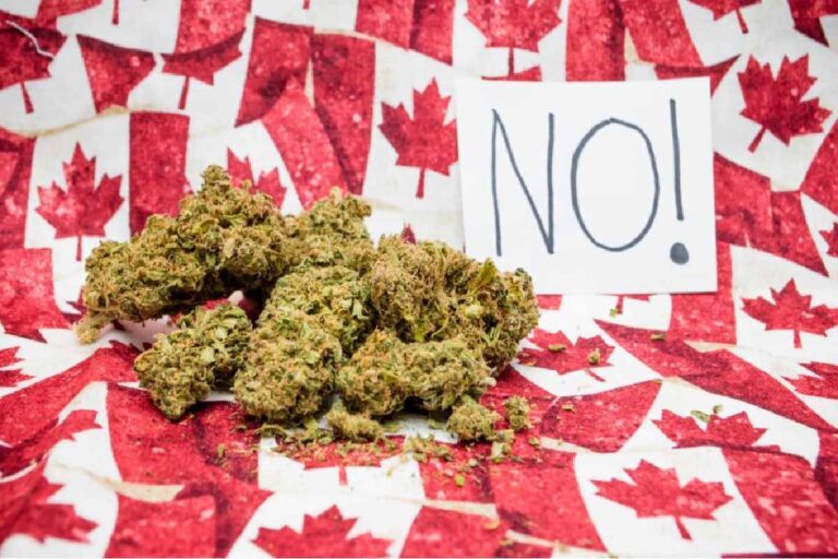 How Many Grams of Weed are in an Eighth